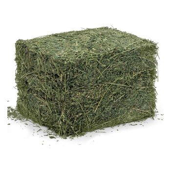 100% Alfalfa Hay – product photo, Hay products found from trusted suppliers, wholesalers, manufacturers & exporters Listing