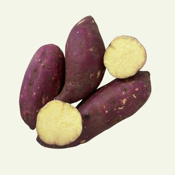 Sweet Potato Flavor Naturally Sweet Texture Smooth And Firm Harvesting Method Harvested At Peak Maturity Nutritional Content Rich In Vitamins, Minerals, And Dietary - Great Farmer Company Limited - Vietnam