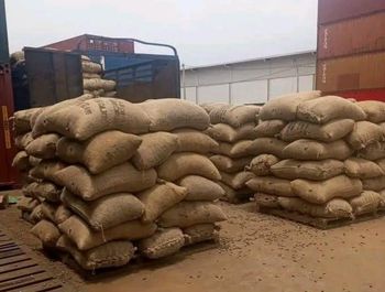 Raw Cashew Nuts - Wise Exporter - Nigeria