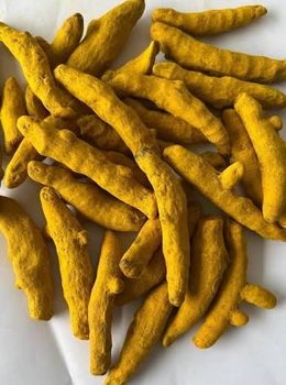 Turmeric finger – product photo, Dried Turmeric Finger products found from trusted suppliers, wholesalers, manufacturers & exporters Listing