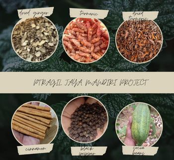 Spices Quality High quality Place of Origin Indonesia Sourcing From Certified Farms Flavor Profile Exceptional And Pure Packaging Flexible Solutions Available - Pt ragil jaya mandiri project - Indonesia