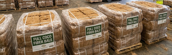 Coco Fiber- PrimeCoir - High Quality Grade A Port Jakarta Color Golden Brown Quality High Quality Packaging Details Bale - PT Trinus Timur Indonesia - Indonesia