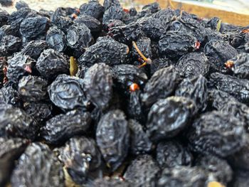 DRIED PLUM / DRIED PRUNES / MD_25 Type Dried Color Rich Texture Natural Humidity Level 22% Packaging 30 kg bags Packaging Size 30 Kg - Consulting NGN LLC - Moldova, Republic of