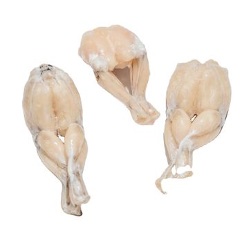 cheap price frozen frog legs for wholesales high quality Shape Piece Color Natural Type Frozen Food Brand Name - TANIS IMPORT & EXPORT COMPANY LIMITED - Vietnam