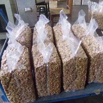 High Quality Raw Walnuts Bulk Supply For Food Manufacturing And Wholesale Distribution Fresh Walnuts With Natural Flavor from THE GREEN INTERNATIONAL LIMITED High Quality Raw Walnuts Bulk Supply For Food Manufacturing And Wholesale Distribution Fresh Walnuts With Natural Flavor - THE GREEN INTERNATIONAL LIMITED - Tanzania