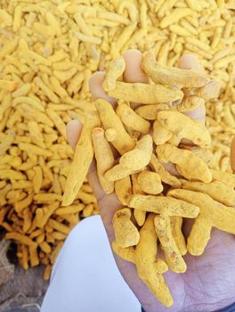 Turmeric - naman - India