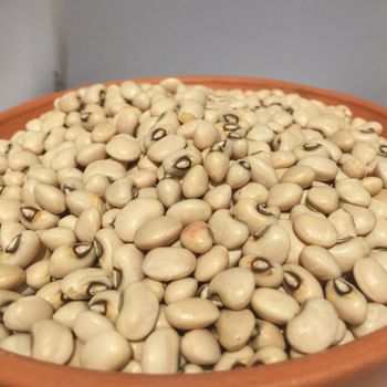 Natural Dried Black Eyed Peas Bulk Packing For International Grain Importers Seeking Nutrient Rich Black Eyed Peas Supply - THE GREEN INTERNATIONAL LIMITED - Tanzania