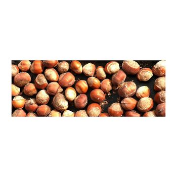 100% natural hazel nuts and ripe hazelnuts without husks - MT Trading GmbH - Germany