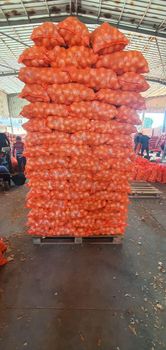 Fresh Onion For Sale Grade A Packaging 15KG Mesh Bag Maturity Status Fully Mature Minimum Diameter 1-1/2 Inches Boiler Onion Size 1" To 1-7/8" - W&E HOLDING BV - Netherlands