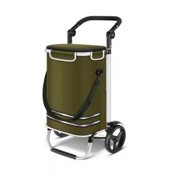 Wholesale Outdoor Cheap Mini Hand Trolley Folding Food Shopping Vegetable Luggage Hand Trolley Cart Container Bag with Wheel - Yongkang Dashing Leisure Products Factory - China
