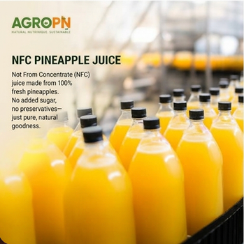 Pineapple NFC juice Organic Yes Degree of Processing Frozen Degree Of Maturity Mature, Pre-Ripened - AgroPn - Panama
