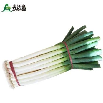 Fresh Scallion /Chinese Scallion/Green Scallion /Green Onion Grade a+ Trademark aowoshi Shef Time 5 Months HS Code - Shouguang Aowoshi Vegetable Food Co., Ltd - China