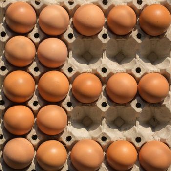 Fresh Edible Table Chicken Eggs Containing 100% Natural Egg Nutrition With Fresh Farm Origin And Excellent Eating Experience - TOSOH INTERNATIONAL - South Africa