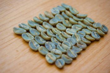 Costa Rica Tarrazú Coffee Beans - Face Africa Media Pty Ltd - South Africa