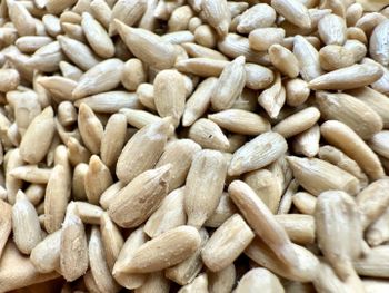 Sunflower kernels from SEEDVAL SRL Sunflower kernels - SEEDVAL SRL - Romania