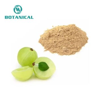 Factory Supply Herbal Extract Phyllanthus Emblica Amalaki Extract Indian Gooseberry Extract - Botanical Cube Inc. - China