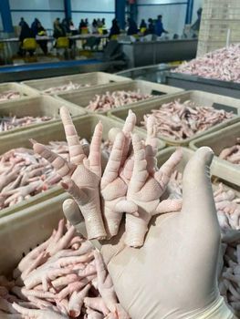 Frozen chicken leg quarters (simmons) - SOURCE GLOBAL TRADING GROUP - South Africa