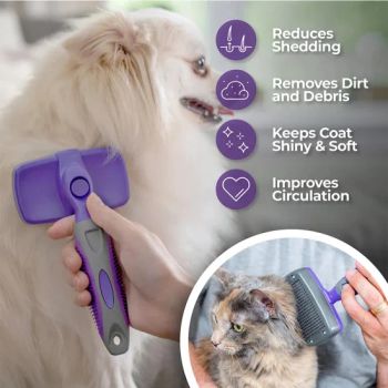 Petdom Pet Grooming Products Self Cleaning Pet Brush Model NO. 001 Trademark Wenhui Feature Sustainable Origin Ningbo, China - Ningbo Yinzhou Wenhui Paper Co., Ltd. - China