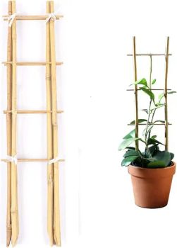 3 Pieces Natural Bamboo Gardening Climbing Frames 1.5FT (45cm) Trellis - Xiamen Ebei Import & Export Co., Ltd. - China
