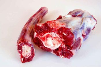 Wholesale Halal Buffalo Boneless Frozen Meat Frozen Beef for Sale - BLAZRI  - Brazil