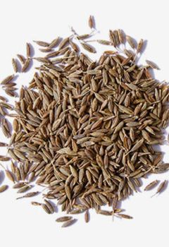 Indian Cumin Seeds 99% Purity - Royal handicraft - India