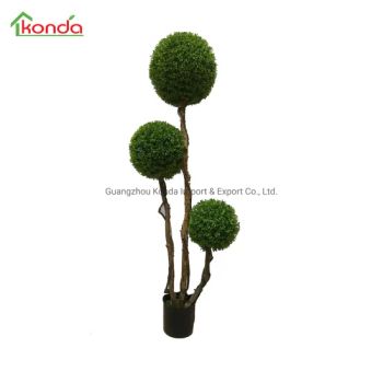 Factory Direct Garden Evergreen Ornamental Topiary Plants Color Green Style Bonsai Delivery by Sea Trademark Konda Model NO. KT5012 - Guangzhou Konda Import & Export Co., Ltd - China