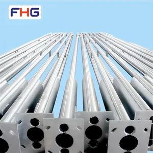 Premium Outdoor Lighting Column with 4-Year Warranty Included - Jiangsu Flohar Lamps Manufacturing Co., Ltd. - China