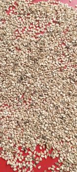 Sesame Seeds - Texas Trust Multidynamic Inspection Ltd - Nigeria