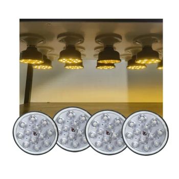 IP67 6.5W Flicker Free Smart Dimming Poultry Farming Light for Chicken Farm - Xiamen Good Light Technology Co., Ltd. - China