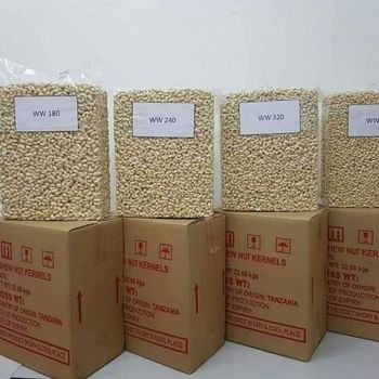 Raw and Roasted Cashew Nuts for Sale From Kenya for Export CIF To all destination 𝐒𝐩𝐞𝐜𝐢𝐟𝐢𝐜𝐚𝐭𝐢𝐨𝐧: W210, W240, W320, W400  For transparency, we encourage our esteemed clients to visit and inspect the products here in Nairobi-Kenya before making any transaction. - Nedvixs Company Limited - Kenya