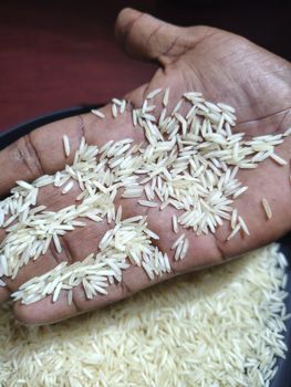 1121 Steam Basmati Rice from Geo360 Agro Industries Pvt. Ltd 1121 Steam Basmati Rice - Geo360 Agro Industries Pvt. Ltd - India