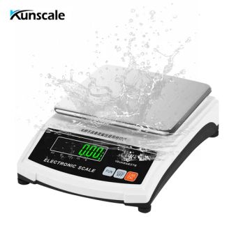 Stainless Steel High Precision 1000g 0.1g Electric Analytical Weighing Scale Digital Lab Balance - Kunshan Scale Electronic Technology Co., Ltd - China