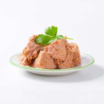 Premium Ocean Quality Canned Tuna In Natural Brine For Global Seafood Buyers Bulk Supply Fresh Taste Canned Tuna Export Standard - malter group - Tanzania