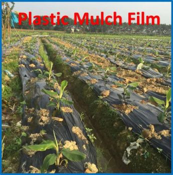 Agricultural Greenshouse Weed Control Mat Plastic Mulch Film Trademark WM Origin China Material PE, PE HS Code 39269090 Model NO. wm-205 - WELL MERIT INDUSTRIAL ENTERPRISE LIMITED - China