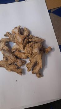 Fresh Bulk Ginger - GUANGZHOU MANOR TECHNOLOGY - China