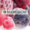 Product – product photo, Dried Fruit Mixture products found from trusted suppliers, wholesalers, manufacturers & exporters Listing