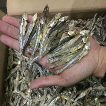 Dried Fish High Protein Dried Anchovy Fish 2-3cm and 5-8cm - AL JABLI TRADING COMPANY LIMITED - Tanzania
