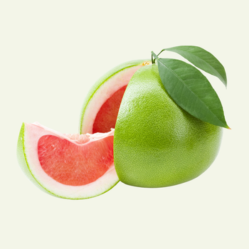 Pomelo Size 15-25 cm Style Fresh/Frozen Material 100% Fresh Weight (kg) 1-2.5 kg Vitamin Content Rich Shelf Life 12-24 month - Great Farmer Company Limited - Vietnam