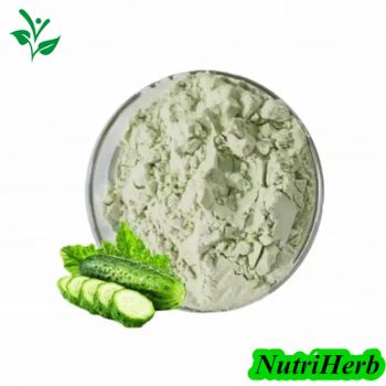 Nutriherb Supply Pure Cucumber Juice Powder Dried Cucumber Powder - Nanjing NutriHerb BioTech Co., Ltd. - China