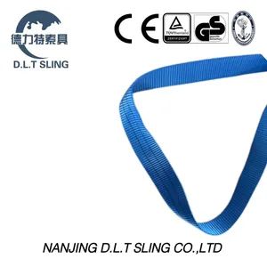 Blue Endless Webbing Sling with Wstda-Ws-1 Standard Width 60mm Origin China Shape Endless Model NO. 2Ton Sling Color - Nanjing D.L.T Sling Co., Ltd. - China