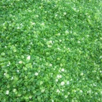 Healthy Vegetable IQF Frozen Fresh Spring Green Onions Leeks Green Scallion Cut - Shanxi Jiemaotong Import and Export Co., Ltd - China
