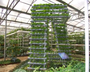 Agriculture Hydroponics Tower Vertical Hydroponic Column for Growing Lettuce Strawberry Complicated Hydroponics System - Shouguang Zenong Greenhouse Engineering Co., Ltd. - China