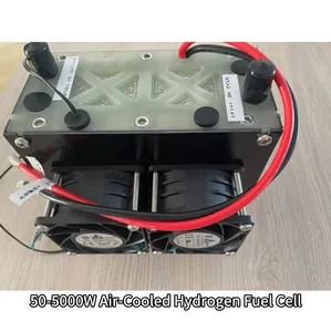 Hot Sale 100W 500W 1000W Air Cooled Hydrogen Fuel Cell Portable for Electric Forklifts - Suzhou VMA New Energy Co., Ltd. - China