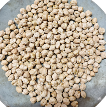 Premium Kabuli Chana (White Chickpeas) – product photo, Premium Kabuli Chickpeas products found from trusted suppliers, wholesalers, manufacturers & exporters Listing