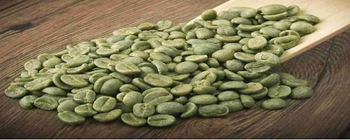 Green Coffee Beans - Fortune EXIM & General Tradings - United Arab Emirates