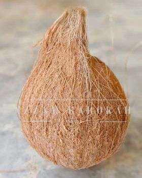 Semi husked coconut – product photo, Fresh Semi-Husked Coconut products found from trusted suppliers, wholesalers, manufacturers & exporters Listing