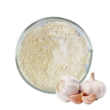 Hot Selling Garlic Extract Powder Affordable Price Dried Garlic Powder For Sale - YSH GROUP - China