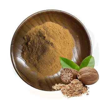 High Quality Wholesale Nutmeg Spice Supplier – Natural Aromatic Nutmeg Available as Whole Seeds and Fine Powder, Processed Using Advanced Drying and Cleaning Techniques to Ensure Strong Flavor, High Oil Content, and Superior Aroma, Suitable for Culinary Applications, Bakery Products, Spice Mixes, Soups, Sauces, and Industrial Food Manufacturing with Reliable Bulk Supply and Consistent Export Standards - agroturaspzoo - Poland