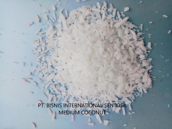 Desiccated Coconut - BISNIS INTERNATIONAL SENTOSA PT - Indonesia