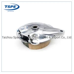Cg Motorcycle Parts Front Drum Brake Model Cg Model NO. CG Origin China Trademark OEM Position Front Type Brake System Material - Taizhou Spare Parts Expert Import & Export Co., Ltd. - China